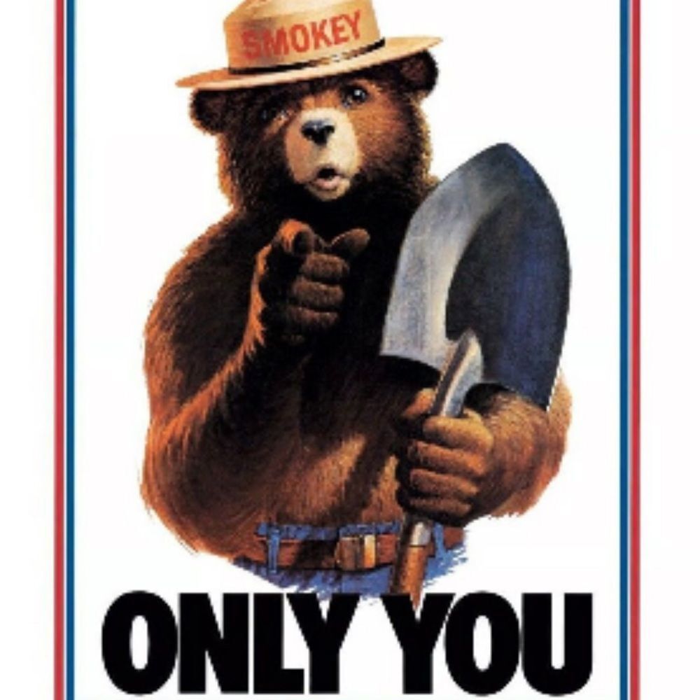 🌟 Open Road Brands Smokey Bear Wall Art - Brown, Blue, Red